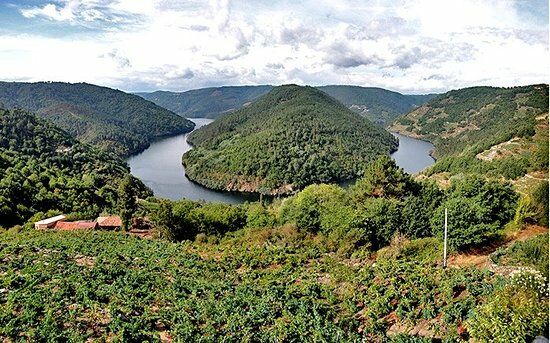 Meson Parrillada A Cova