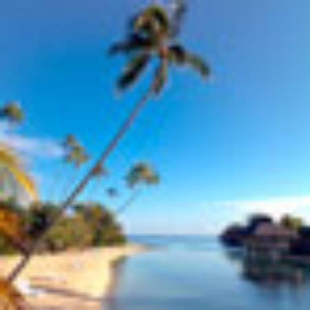 Restaurante Portofino