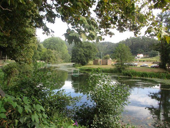 Carballeira de Caldas de Reis