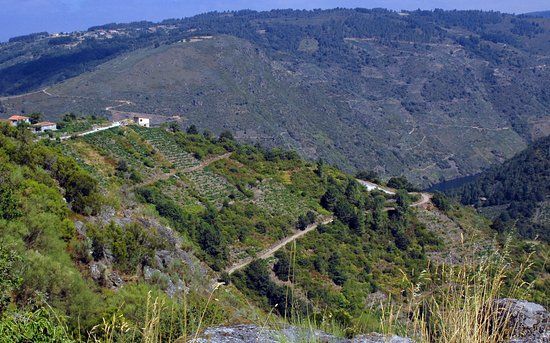 Capilla y necrópolis de San Victor de Barxacova