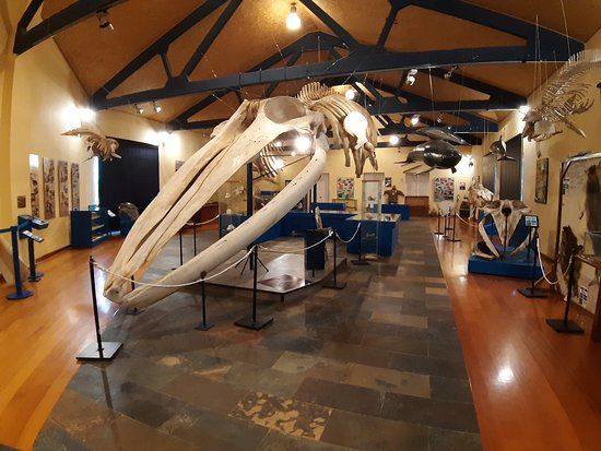 SGHN - Museo de Historia Natural