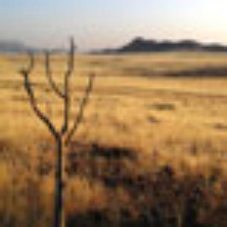 Placido Casa de Xantar