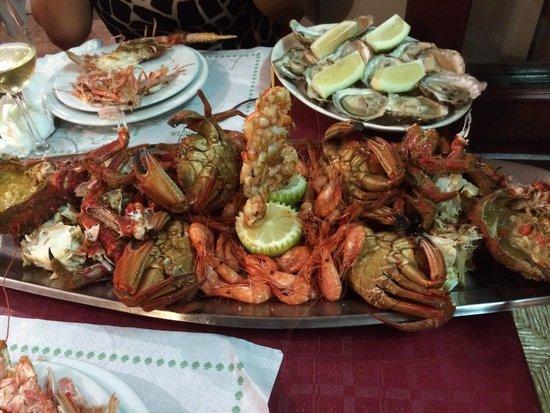 Bodega Vina Pedreira