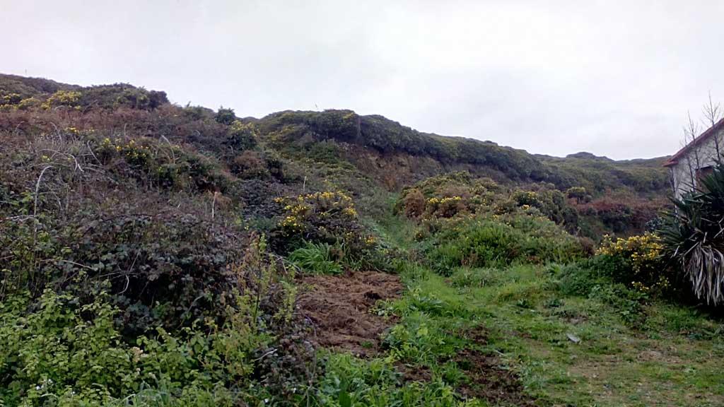 Castro de Labacerido