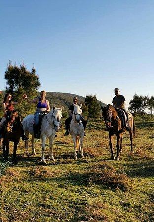 Picadero O Rancho