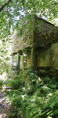 Ruta De Los Molinos De Zamans