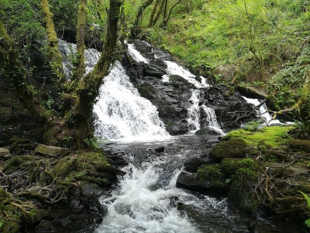 Fervenzas Da Rexidoira